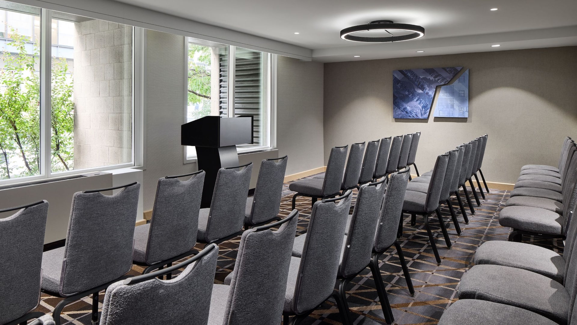 1 of 1 Hyatt Regency Washington on Capitol Hill Glacier Theatre