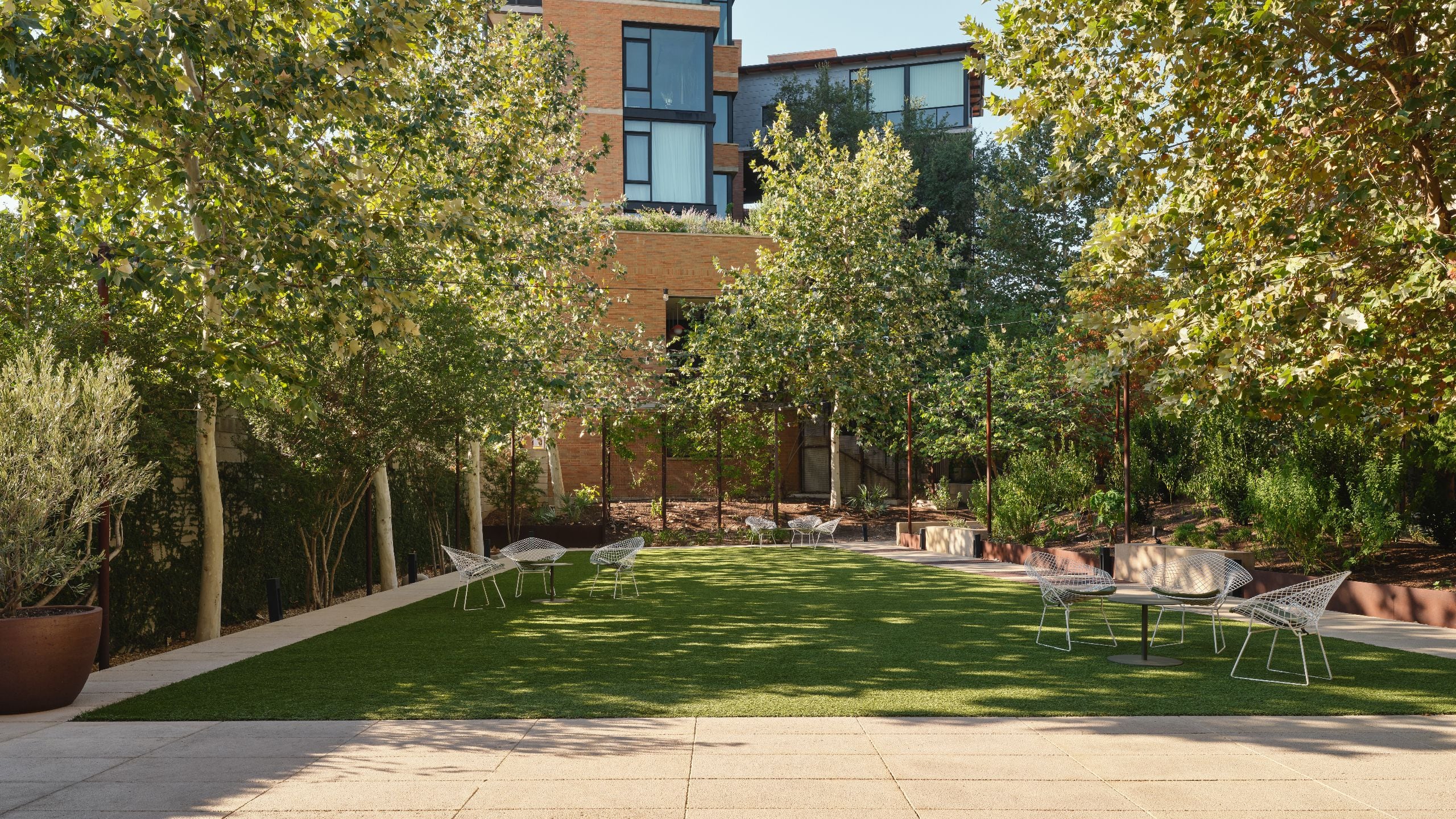 Hotel Magdalena, Bunkhouse Hotels Bobbie Nelson Lawn Wide