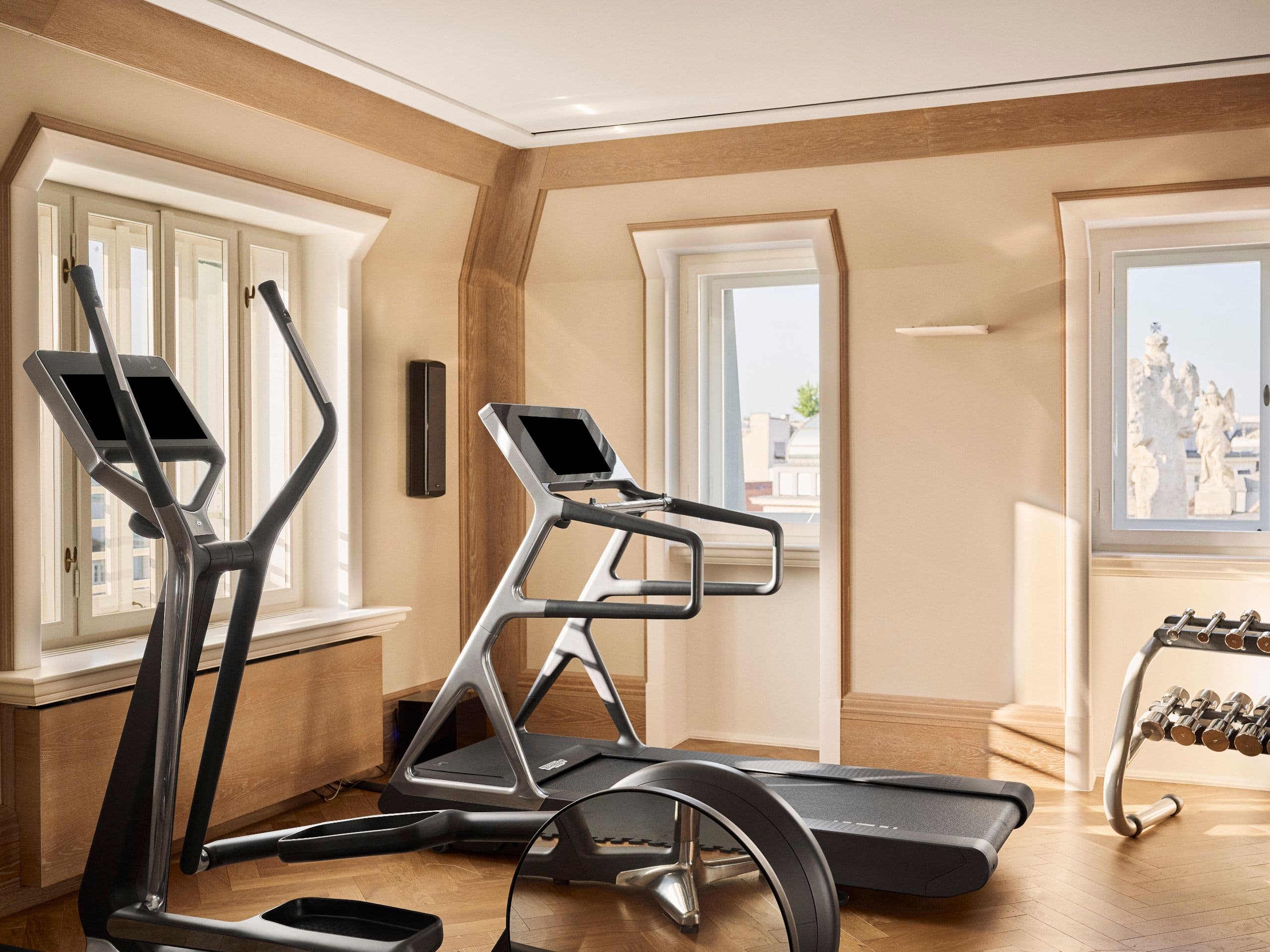 Park Hyatt Vienna Royal Penthouse Suite Gym