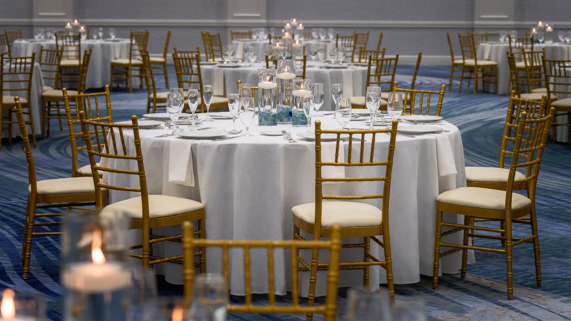 Hyatt Regency Coconut Point Resort and Spa Estero Ballrooom Detail