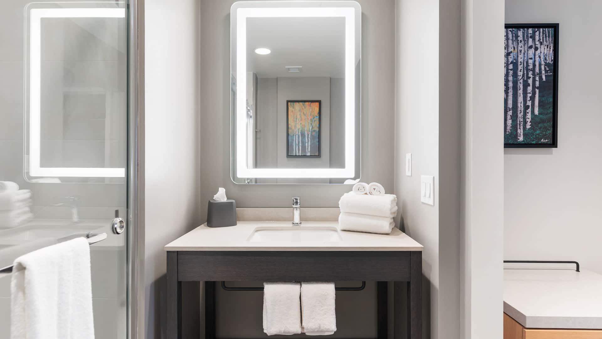 3 of 4 Hyatt House Thunder Bay Bathroom Vanity