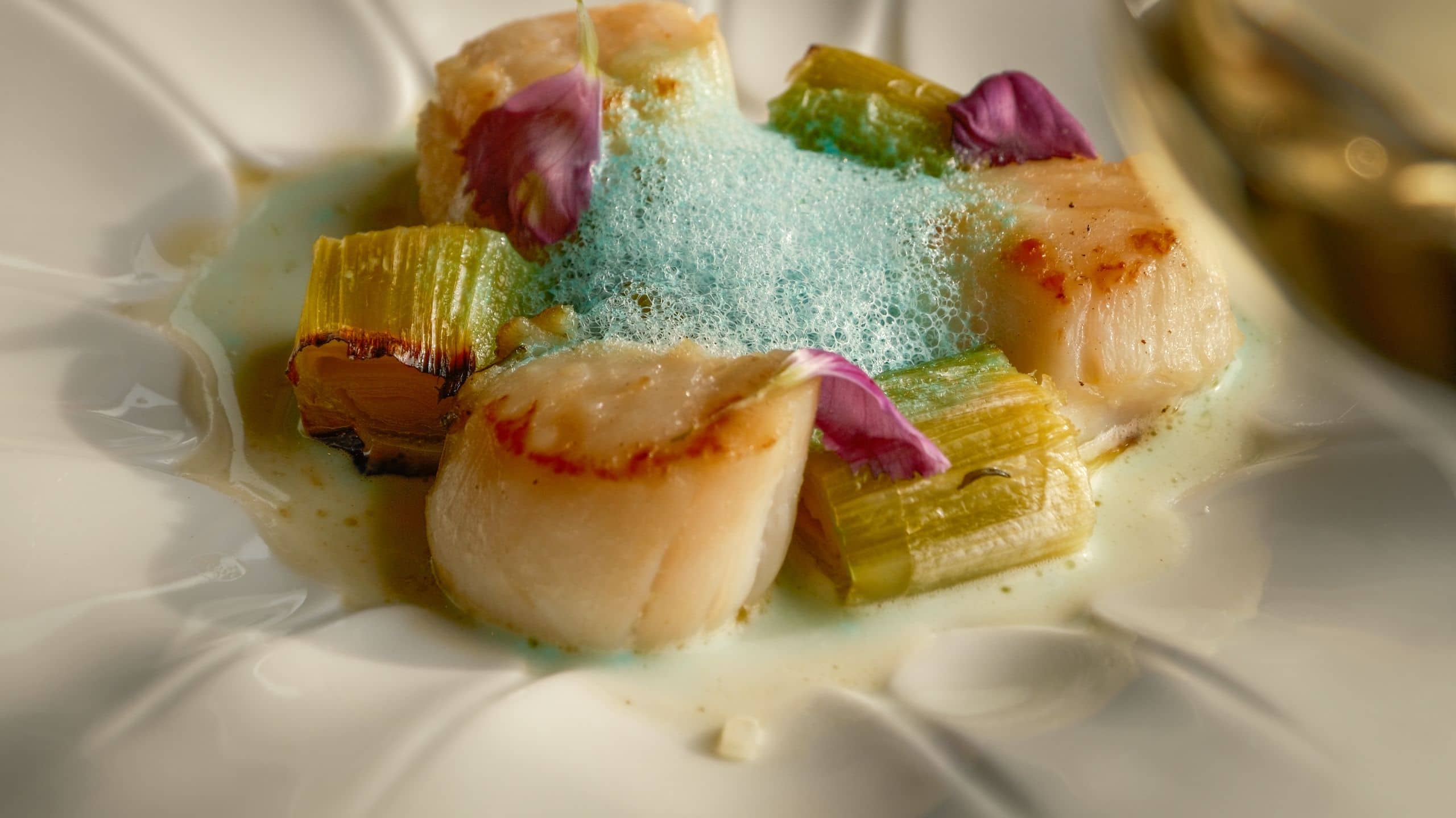 Hyatt Centric Reims Restaurant Starter Scallops