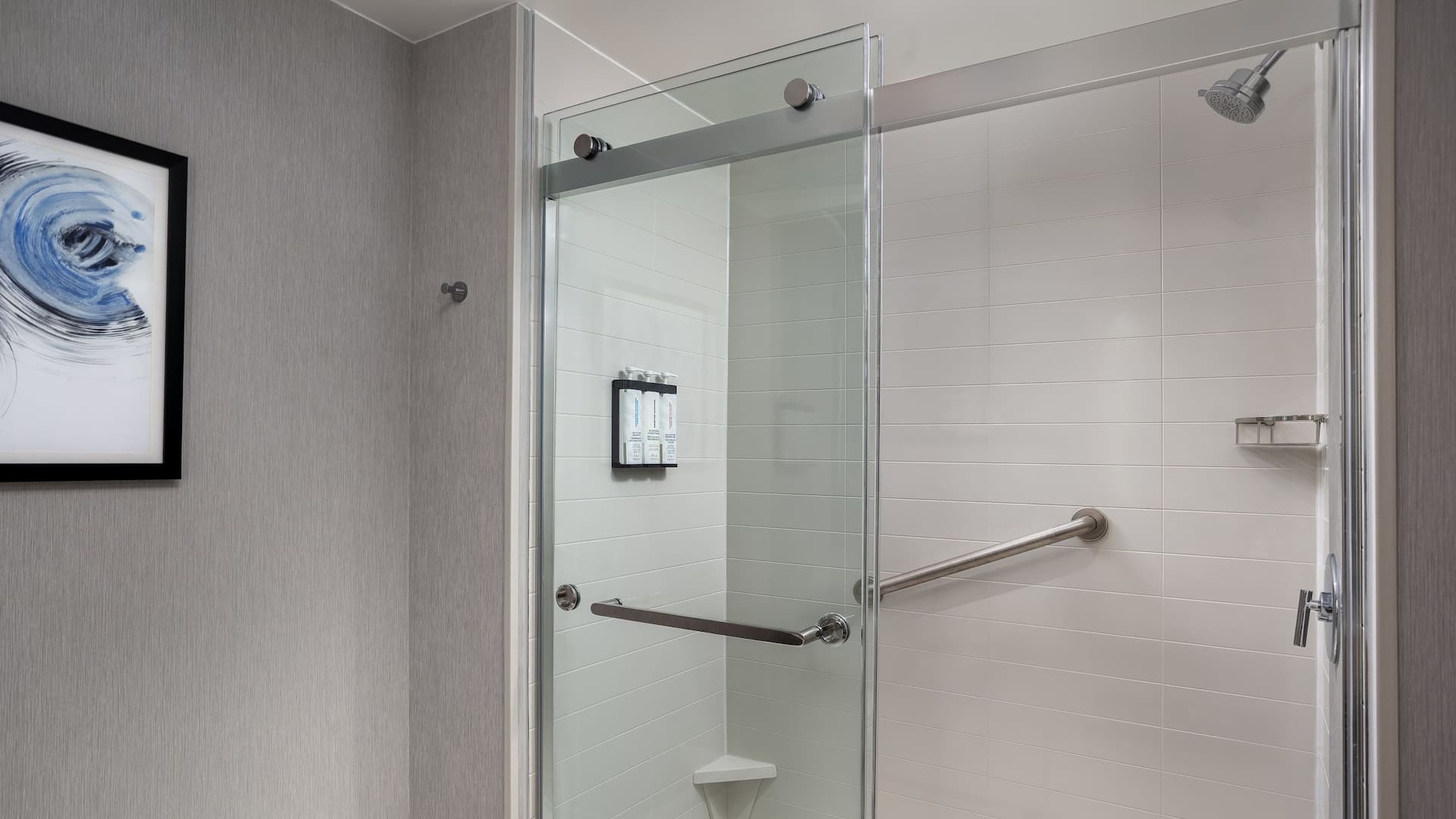 Hyatt Place Toronto Airport Standard Shower