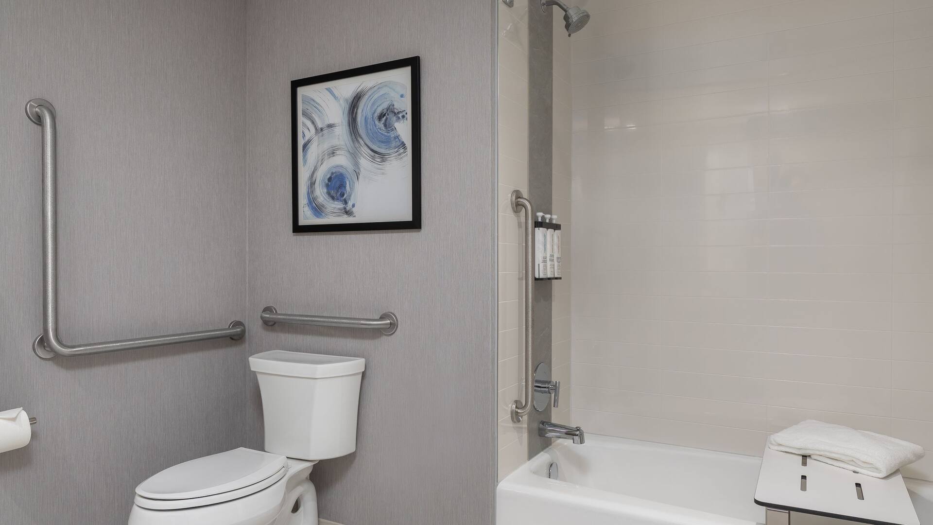 第 3，共 3 Hyatt Place Toronto Airport Accessible Tub