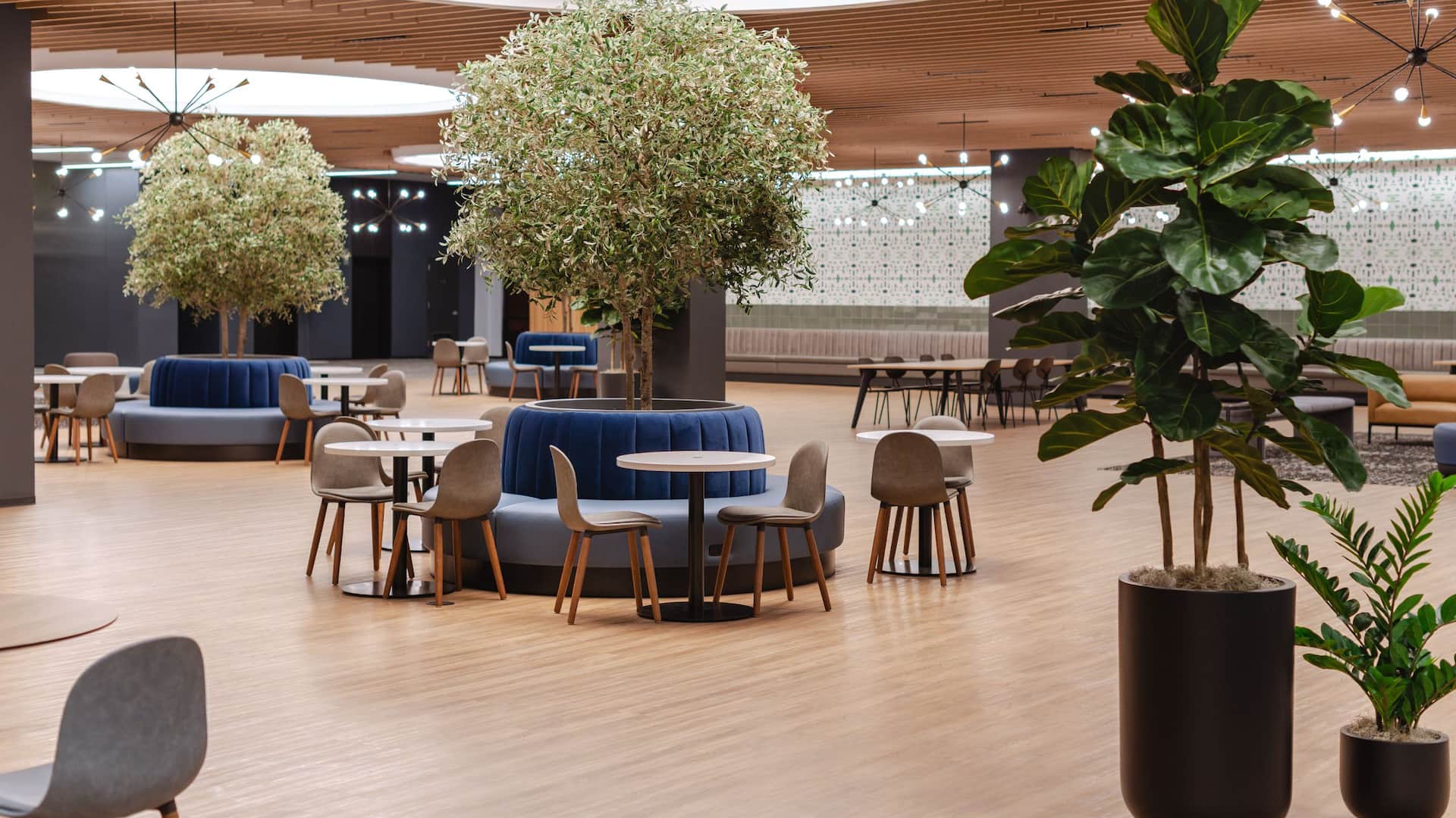 Hyatt Regency Morristown Plaza Person Open Seating