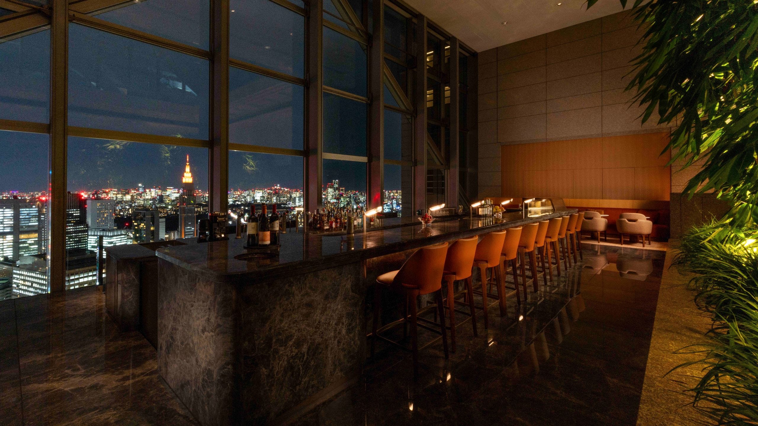 Park Hyatt Tokyo The Peak Bar