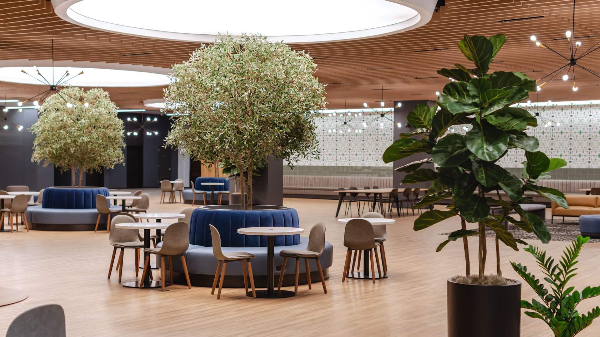 Hyatt Regency Morristown Central Plaza Lobby View