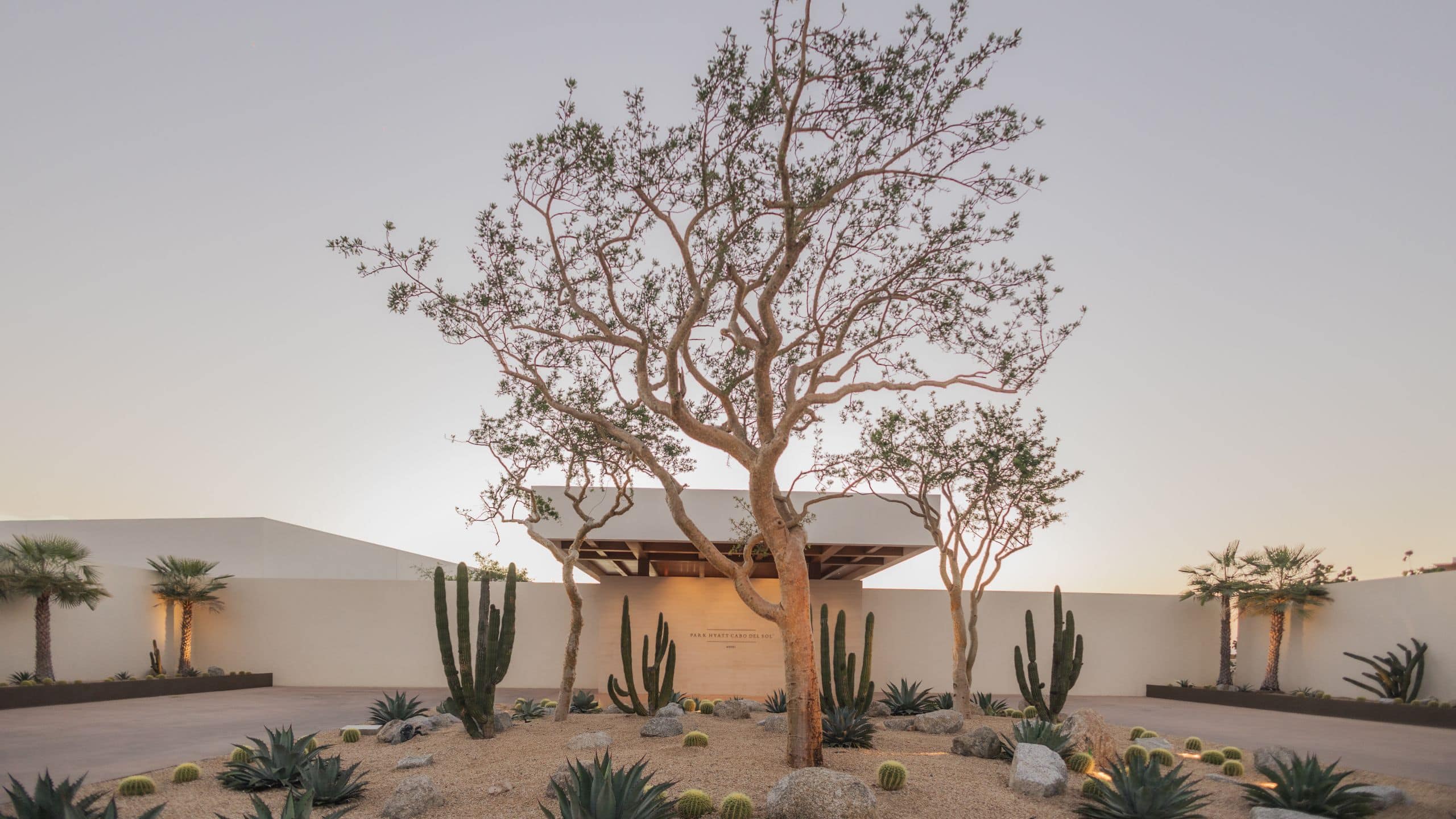 Park Hyatt Cabo Del Sol Cabo Del Sol Motor Lobby