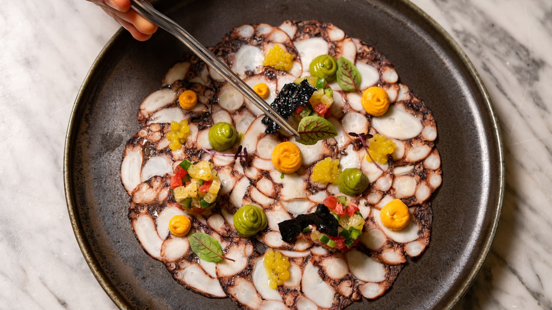 Grand Hyatt Istanbul Restaurant Octopus Carpaccio