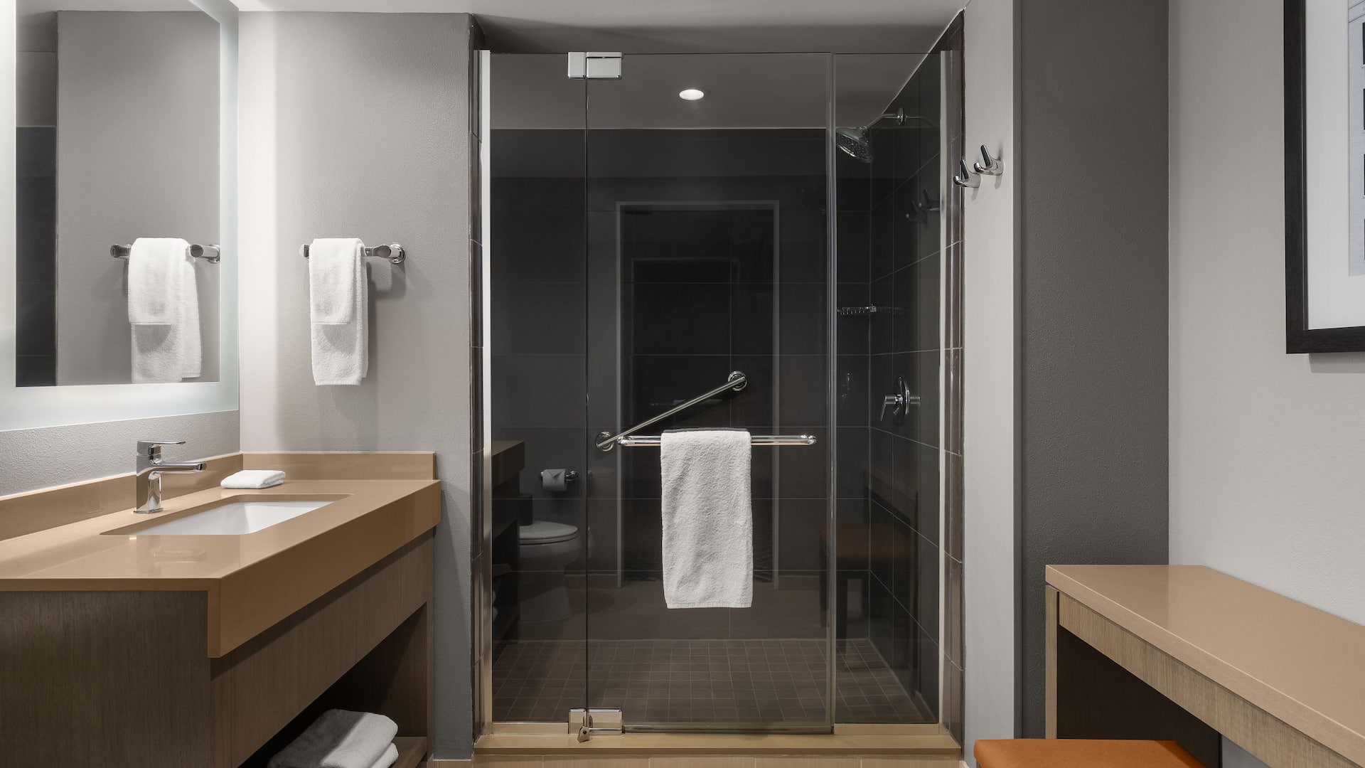 3 of 3 Hyatt House Charleston/Historic District Shower